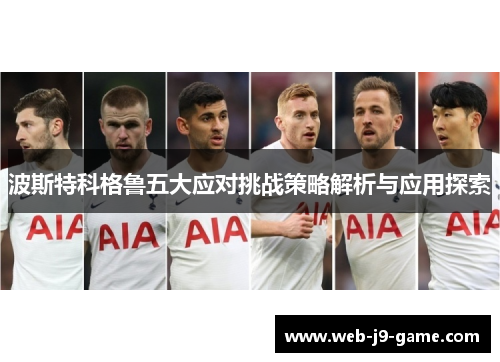波斯特科格鲁五大应对挑战策略解析与应用探索