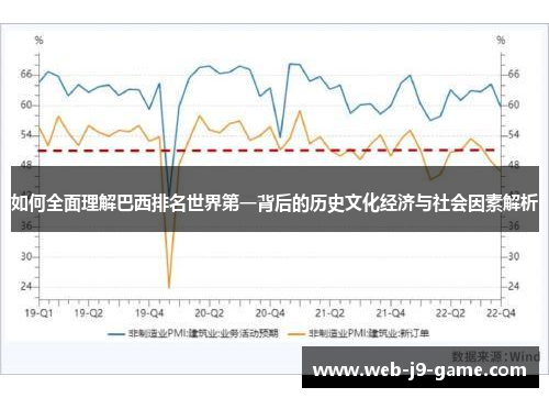 如何全面理解巴西排名世界第一背后的历史文化经济与社会因素解析