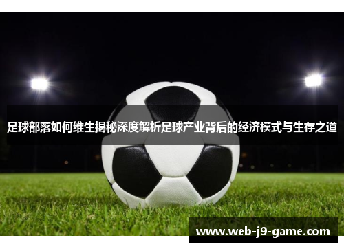足球部落如何维生揭秘深度解析足球产业背后的经济模式与生存之道