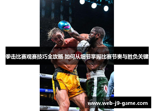 拳击比赛观赛技巧全攻略 如何从细节掌握比赛节奏与胜负关键
