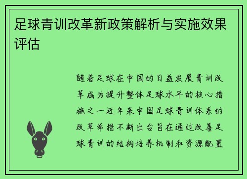 足球青训改革新政策解析与实施效果评估